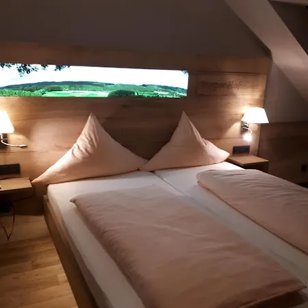 Hotel Bigger Hof - Wirtshaus Platzhirsch Am Jahnplatz