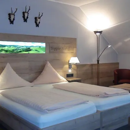 Bigger Hof - Wirtshaus Platzhirsch Am Jahnplatz ホテル 3*