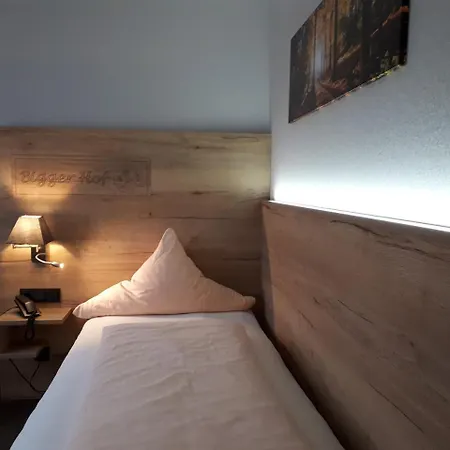 Bigger Hof - Wirtshaus Platzhirsch Am Jahnplatz ホテル 3*