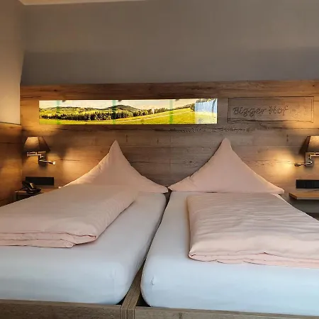 Hotel Bigger Hof - Wirtshaus Platzhirsch Am Jahnplatz 3*