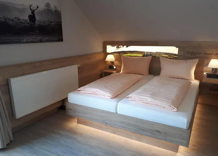 Hotel Bigger Hof - Wirtshaus Platzhirsch Am Jahnplatz 3*