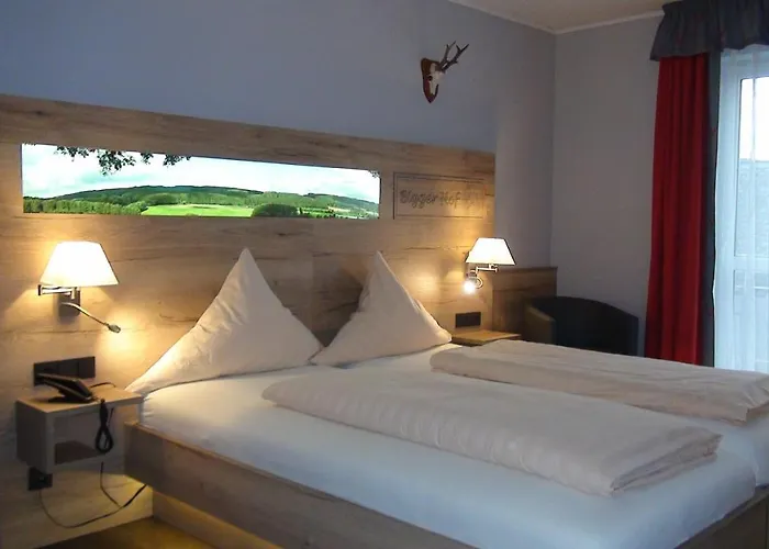 Bigger Hof - Wirtshaus Platzhirsch Am Jahnplatz Olsberg