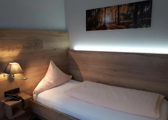 Bigger Hof - Wirtshaus Platzhirsch Am Jahnplatz 3*