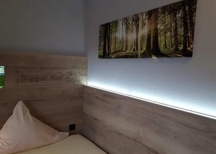 Hotel Bigger Hof - Wirtshaus Platzhirsch Am Jahnplatz Olsberg