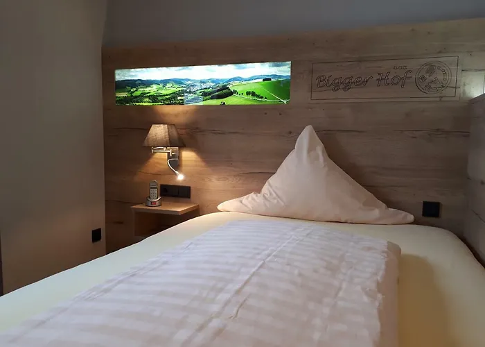 Bigger Hof - Wirtshaus Platzhirsch Am Jahnplatz Olsberg