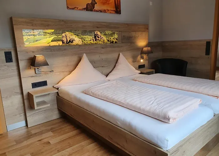 Hotel Bigger Hof - Wirtshaus Platzhirsch Am Jahnplatz 3*